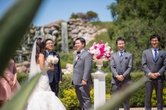 Big Sur Wedding Photographer